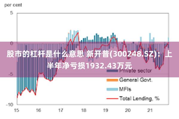 股市的杠杆是什么意思 新开普(300248.SZ)：上半年净亏损1932.43万元