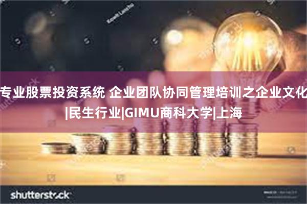 专业股票投资系统 企业团队协同管理培训之企业文化|民生行业|GIMU商科大学|上海