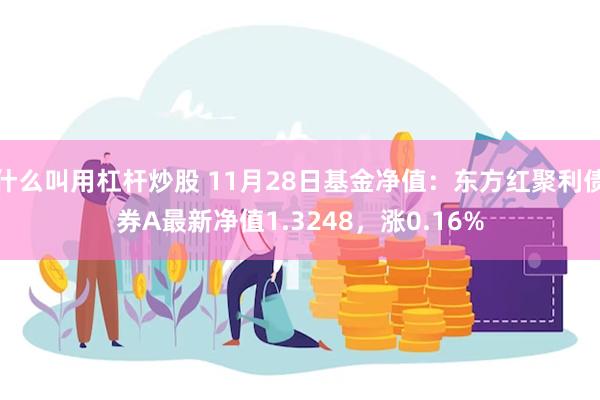 什么叫用杠杆炒股 11月28日基金净值：东方红聚利债券A最新净值1.3248，涨0.16%