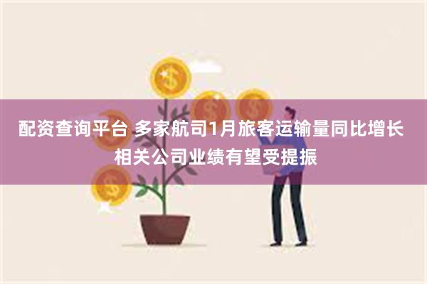 配资查询平台 多家航司1月旅客运输量同比增长  相关公司业绩有望受提振