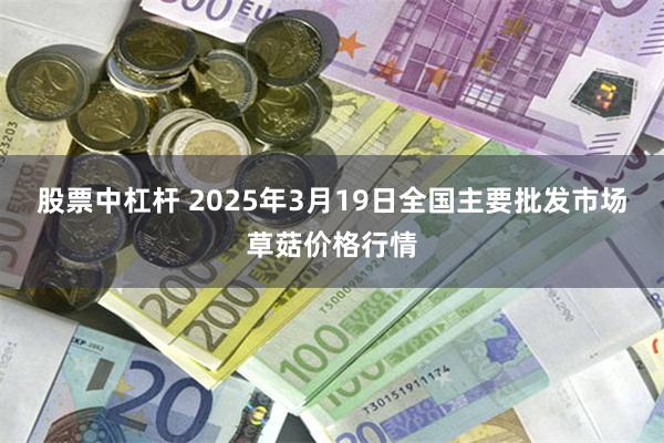 股票中杠杆 2025年3月19日全国主要批发市场草菇价格行情