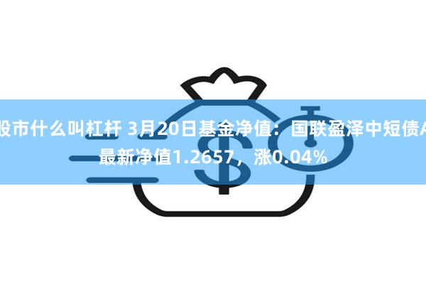 股市什么叫杠杆 3月20日基金净值：国联盈泽中短债A最新净值1.2657，涨0.04%