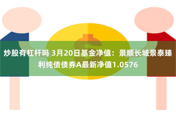 炒股有杠杆吗 3月20日基金净值：景顺长城景泰臻利纯债债券A最新净值1.0576